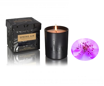 LUXURY SOYA CANDLE SECRET 230ML GOLD LINE